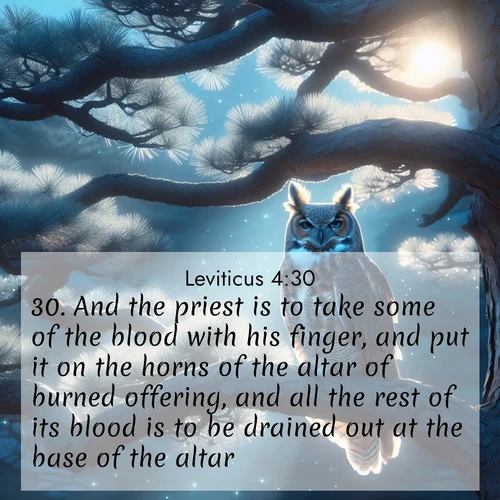 BasicEnglish Leviticus  ; image nature: image with the bible verse :And the priest is to take some of the blood with his finger, and put it on the horns of the altar of burned offering, and all the rest of its blood is to be drained out at the base of the altar. ; Explore Bible verses paired with beach photos, where waves gently crash on the sand and the sky glows with pastel hues at sunset. These scenes convey deep serenity. Download verses like KJV Leviticus 4:30. Current verse is overlayed with the thematic nature scene : A great horned owl watches from ancient pine branches. Moonlight silvers its silent wings. ; 4:30
