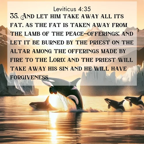 BBE Leviticus 4:35 overlaying nature image scene: Wild orcas breach in sunset-painted waters. Their splashes echo off glacier walls.;35. And let him take away all its fat, as the fat is taken away from the lamb of the peace-offerings; and let it be burned by the priest on the altar among the offerings made by fire to the Lord: and the priest will take away his sin and he will have forgiveness.