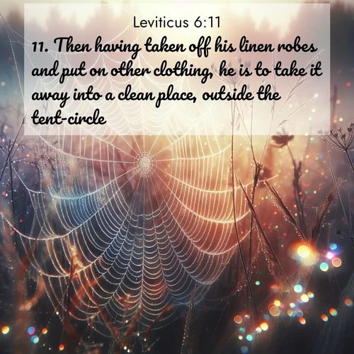 BBE Leviticus 6:11 overlaying nature image scene: Morning fog reveals spider web galaxies. Dew drops catch rainbow light.;11. Then having taken off his linen robes and put on other clothing, he is to take it away into a clean place, outside the tent-circle.