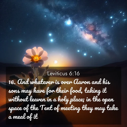 BBE Leviticus 6:16 overlaying nature image scene: Desert primrose opens to stars. Night wind carries sweet perfume.;16. And whatever is over Aaron and his sons may have for their food, taking it without leaven in a holy place; in the open space of the Tent of meeting they may take a meal of it.
