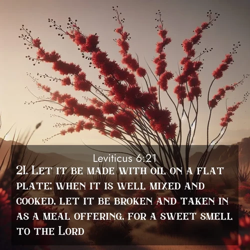 BBE Leviticus 6:21 overlaying nature image scene: Desert ocotillo flames crimson red. Wind sings through thorny branches.;21. Let it be made with oil on a flat plate; when it is well mixed and cooked, let it be broken and taken in as a meal offering, for a sweet smell to the Lord.