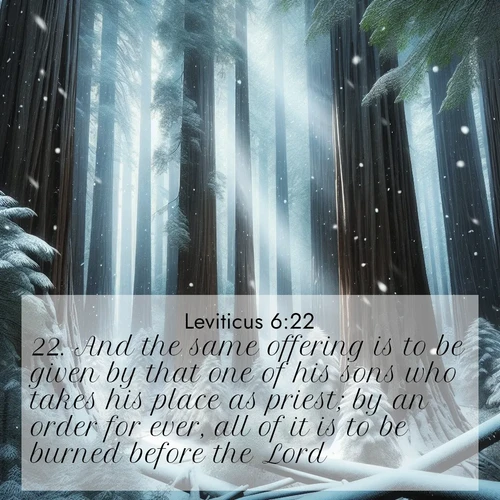 BBE Leviticus 6:22 overlaying nature image scene: Snow falls silently on ancient redwoods. Shafts of light pierce through to illuminate the forest floor.;22. And the same offering is to be given by that one of his sons who takes his place as priest; by an order for ever, all of it is to be burned before the Lord.