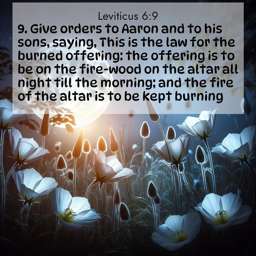 BBE Leviticus 6:9 overlaying nature image scene: Moonflowers open to the rising full moon. Night insects hum in harmony.;9. Give orders to Aaron and to his sons, saying, This is the law for the burned offering: the offering is to be on the fire-wood on the altar all night till the morning; and the fire of the altar is to be kept burning.
