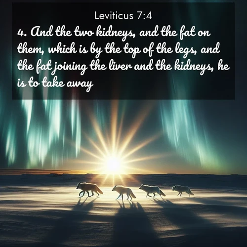 BasicEnglish Leviticus  ; image nature: image with the bible verse :And the two kidneys, and the fat on them, which is by the top of the legs, and the fat joining the liver and the kidneys, he is to take away: ; Explore winter-themed Bible verse images illustrated by snowy mountains, frost-covered branches, and clear skies. These landscapes reflect divine purity and peace. Download verses like KJV Leviticus 7:4. Current verse is overlayed with the thematic nature scene : Arctic wolves traverse windswept tundra. Northern lights paint their fur in shifting colors. ; 7:4