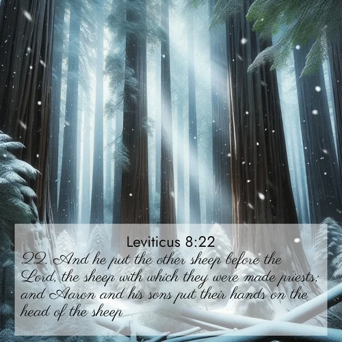 BasicEnglish Leviticus  ; image nature: image with the bible verse :And he put the other sheep before the Lord, the sheep with which they were made priests; and Aaron and his sons put their hands on the head of the sheep, ; Discover breathtaking Bible verse images combined with vibrant landscapes like rolling hills, blooming gardens, and starry nights. Use them as wallpapers or to inspire others. Download verses like KJV Leviticus 8:22. Current verse is overlayed with the thematic nature scene : Snow falls silently on ancient redwoods. Shafts of light pierce through to illuminate the forest floor. ; 8:22