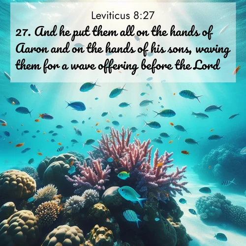 BasicEnglish Leviticus  ; image nature: image with the bible verse :And he put them all on the hands of Aaron and on the hands of his sons, waving them for a wave offering before the Lord. ; Dive into our collection of Bible verse images beautifully illustrated with beach photos, featuring gentle waves, sunsets over the sea, and sandy shores. These scenes evoke the peace and majesty of God. Download and share inspiring verses like KJV Leviticus 8:27. Current verse is overlayed with the thematic nature scene : Tropical fish dart through coral reefs in crystal-clear waters. ; 8:27