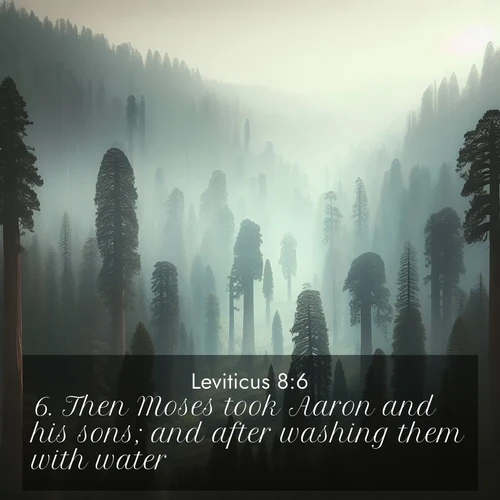 BasicEnglish Leviticus  ; image nature: image with the bible verse :Then Moses took Aaron and his sons; and after washing them with water, ; Explore an exceptional collection of Bible verse images accompanied by photos of nature, showcasing snowy mountains, serene forests, and still lakes. These images feature luminous tones and varied fonts to bring serenity and inspiration. Share uplifting verses like KJV Leviticus 8:6. Current verse is overlayed with the thematic nature scene : Ancient sequoias pierce through valley fog. Centuries of growth reach for filtered light. ; 8:6