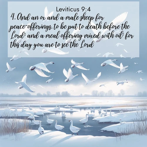 BasicEnglish Leviticus  ; image nature: image with the bible verse :And an ox and a male sheep for peace-offerings, to be put to death before the Lord; and a meal offering mixed with oil: for this day you are to see the Lord. ; Download Bible verse images paired with breathtaking nature photos like golden deserts, shimmering seas, and blossoming orchards. These high-quality, free images are perfect for wallpapers or sharing. Verses include KJV Leviticus 9:4. Current verse is overlayed with the thematic nature scene : Snow geese take flight from a winter marsh. Their wings flash white against leaden skies. ; 9:4