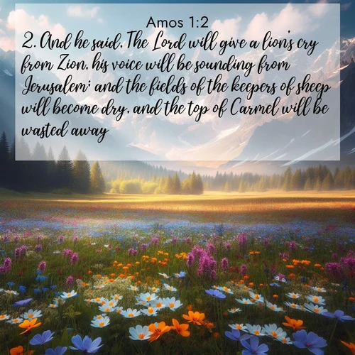BBE 30 1:2