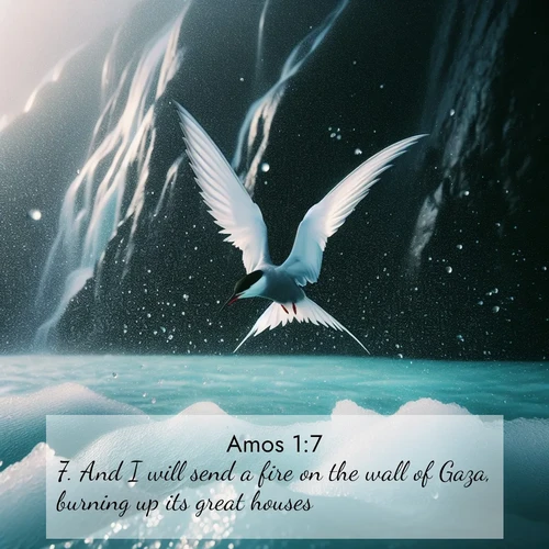 BasicEnglish Amos  ; image nature: image with the bible verse :And I will send a fire on the wall of Gaza, burning up its great houses: ; Explore a spring collection of Bible images, with landscapes of green hills, wildflowers, and crystal-clear streams. These images symbolize the blossoming of God&#039;s creation. Download verses like KJV Amos 1:7. Current verse is overlayed with the thematic nature scene : Arctic terns dive through sea spray above turquoise glacial meltwater. Their white wings flash silver against obsidian cliffs. ; 1:7