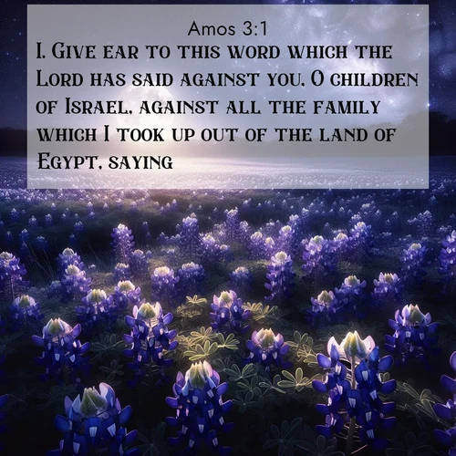 BBE Amos 3:1 overlaying nature image scene: Moonlight illuminates a field of bluebonnets. A warm breeze carries their sweet fragrance across the prairie.;1. Give ear to this word which the Lord has said against you, O children of Israel, against all the family which I took up out of the land of Egypt, saying,