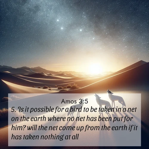 BBE Amos 3:5 overlaying nature image scene: Desert coyotes sing to stars. Their voices echo through time.;5. Is it possible for a bird to be taken in a net on the earth where no net has been put for him? will the net come up from the earth if it has taken nothing at all?