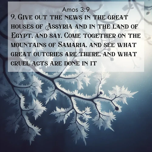 BBE Amos 3:9 overlaying nature image scene: Winter frost coats bare branches in delicate crystal.;9. Give out the news in the great houses of Assyria and in the land of Egypt, and say, Come together on the mountains of Samaria, and see what great outcries are there, and what cruel acts are done in it.