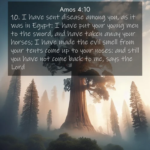 BBE Amos 4:10 overlaying nature image scene: A giant sequoia reaches through morning fog. Centuries of growth stretch skyward in silent majesty.;10. I have sent disease among you, as it was in Egypt: I have put your young men to the sword, and have taken away your horses; I have made the evil smell from your tents come up to your noses: and still you have not come back to me, says the Lord.