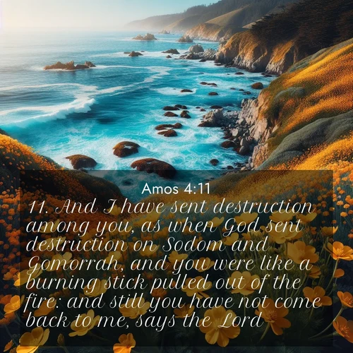 BBE Amos 4:11 overlaying nature image scene: Wild mustard flowers carpet coastal cliffs. Pacific waves provide endless percussion below.;11. And I have sent destruction among you, as when God sent destruction on Sodom and Gomorrah, and you were like a burning stick pulled out of the fire: and still you have not come back to me, says the Lord.