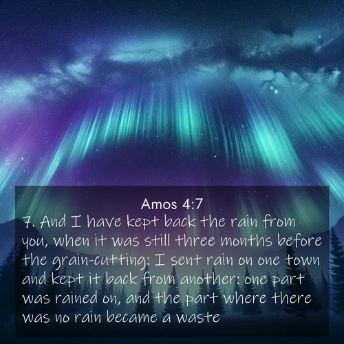 BBE Amos 4:7 overlaying nature image scene: Aurora borealis ripples like cosmic curtains. Pine trees stand sentinel beneath the light show.;7. And I have kept back the rain from you, when it was still three months before the grain-cutting: I sent rain on one town and kept it back from another: one part was rained on, and the part where there was no rain became a waste.