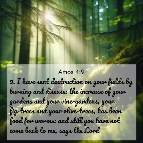BBE Amos 4:9 overlaying nature image scene: A hermit thrush sings from deep woods. Sunlight filters through green canopy.;9. I have sent destruction on your fields by burning and disease: the increase of your gardens and your vine-gardens, your fig-trees and your olive-trees, has been food for worms: and still you have not come back to me, says the Lord.