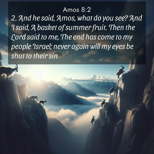 BBE 30 8:2