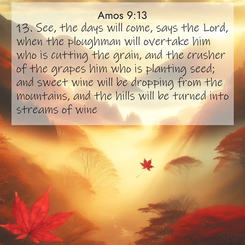 BBE Amos 9:13 overlaying nature image scene: Autumn fog fills a mountain valley. A red maple leaf drifts through golden light.;13. See, the days will come, says the Lord, when the ploughman will overtake him who is cutting the grain, and the crusher of the grapes him who is planting seed; and sweet wine will be dropping from the mountains, and the hills will be turned into streams of wine.