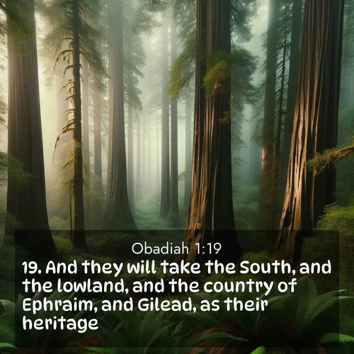 BBE Obadiah 1:19 overlaying nature image scene: Coastal redwoods disappear into the fog high above a fern grove.;19. And they will take the South, and the lowland, and the country of Ephraim, and Gilead, as their heritage.