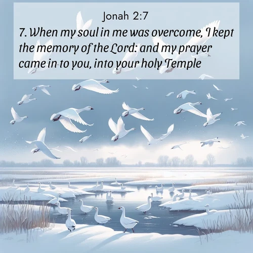BasicEnglish Jonah  ; image nature: image with the bible verse :When my soul in me was overcome, I kept the memory of the Lord: and my prayer came in to you, into your holy Temple. ; Browse high-resolution Bible verse images featuring stunning nature photography, such as radiant sunsets, tranquil rivers, and blooming fields. Perfect for wallpapers or sharing on social media. Download KJV Jonah 2:7. Current verse is overlayed with the thematic nature scene : Snow geese take flight from a winter marsh. Their wings flash white against leaden skies. ; 2:7