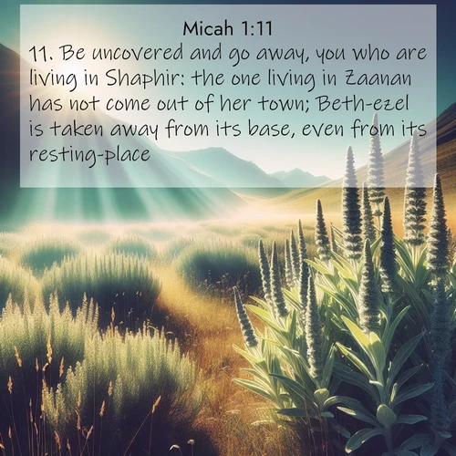 BBE Micah 1:11 overlaying nature image scene: Summer heat brings out the scent of sage in mountain meadows.;11. Be uncovered and go away, you who are living in Shaphir: the one living in Zaanan has not come out of her town; Beth-ezel is taken away from its base, even from its resting-place.