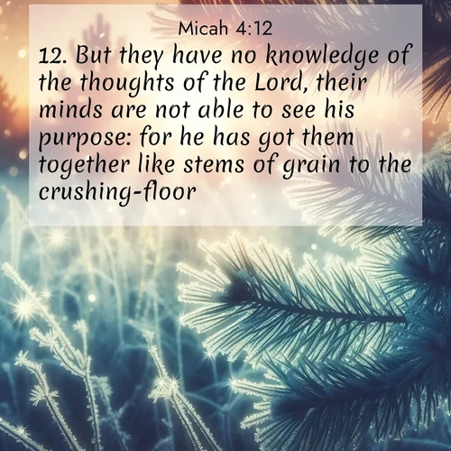 BBE Micah 4:12 overlaying nature image scene: Morning frost rimes every needle. Weak sun struggles through branches.;12. But they have no knowledge of the thoughts of the Lord, their minds are not able to see his purpose: for he has got them together like stems of grain to the crushing-floor.