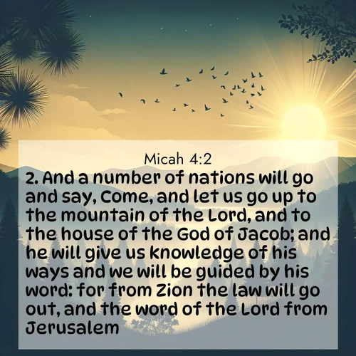 BBE 33 4:2