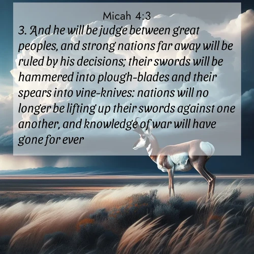 BBE 33 4:3