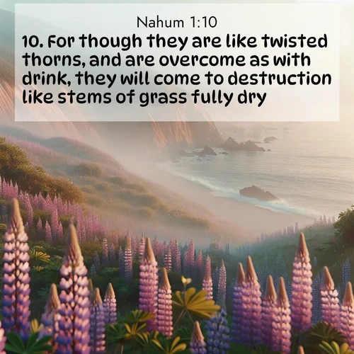 BBE Nahum 1:10 overlaying nature image scene: Wild lupines carpet coastal bluffs. Pacific fog rolls in like smoke.;10. For though they are like twisted thorns, and are overcome as with drink, they will come to destruction like stems of grass fully dry.