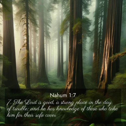 BBE Nahum 1:7 overlaying nature image scene: Coastal redwoods disappear into the fog high above a fern grove.;7. The Lord is good, a strong place in the day of trouble; and he has knowledge of those who take him for their safe cover.
