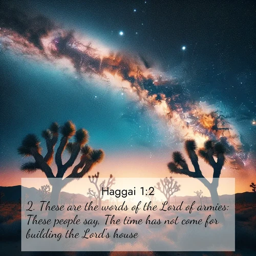 BBE 37 1:2