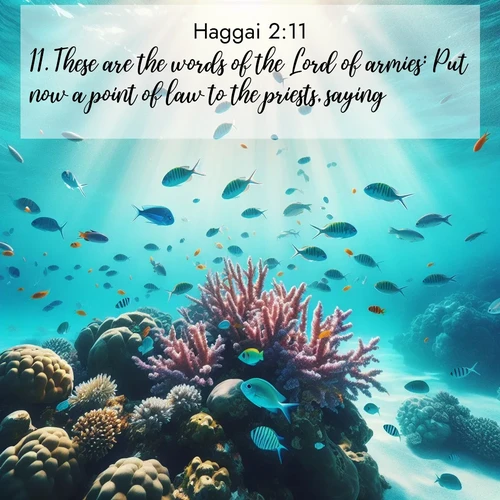 BasicEnglish Haggai  ; image nature: image with the bible verse :These are the words of the Lord of armies: Put now a point of law to the priests, saying, ; Explore Bible verse images highlighting the beauty of spring, with vibrant flowers, butterflies, and blossoming fruit trees. These scenes evoke divine hope and renewal. Download inspiring verses like KJV Haggai 2:11. Current verse is overlayed with the thematic nature scene : Tropical fish dart through coral reefs in crystal-clear waters. ; 2:11
