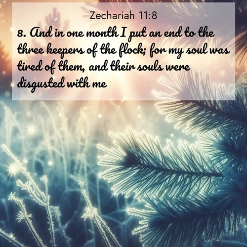 BBE Zechariah 11:8 overlaying nature image scene: Morning frost rimes every needle. Weak sun struggles through branches.;8. And in one month I put an end to the three keepers of the flock; for my soul was tired of them, and their souls were disgusted with me.