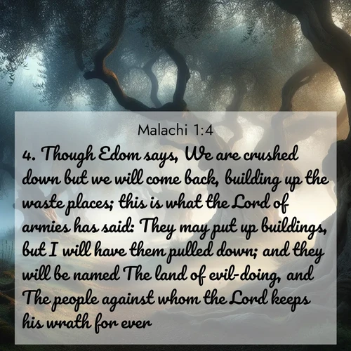 BasicEnglish Malachi  ; image nature: image with the bible verse :Though Edom says, We are crushed down but we will come back, building up the waste places; this is what the Lord of armies has said: They may put up buildings, but I will have them pulled down; and they will be named The land of evil-doing, and The people against whom the Lord keeps his wrath for ever. ; Discover Bible images illustrated by desert landscapes, like sand dunes, majestic rocks, and starry skies. These images symbolize the grandeur and immensity of God&#039;s creation. Download verses like KJV Malachi 1:4. Current verse is overlayed with the thematic nature scene : Mist rolls through an ancient olive grove at dawn. Each gnarled trunk tells stories of centuries past. ; 1:4