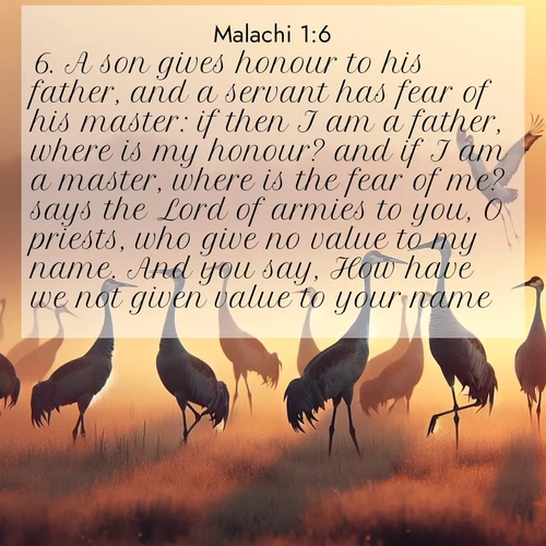 BBE Malachi 1:6 overlaying nature image scene: Sandhill cranes dance in morning mist. Their calls echo across the marsh.;6. A son gives honour to his father, and a servant has fear of his master: if then I am a father, where is my honour? and if I am a master, where is the fear of me? says the Lord of armies to you, O priests, who give no value to my name. And you say, How have we not given value to your name?