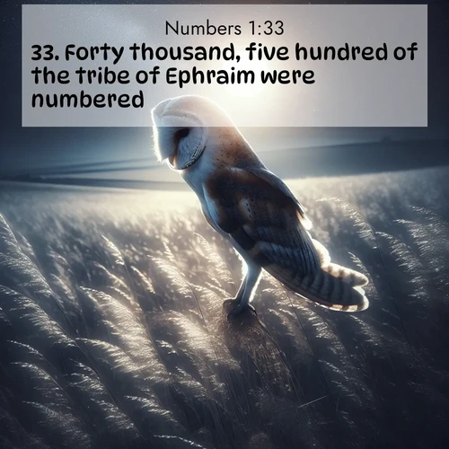 BasicEnglish Numbers  ; image nature: image with the bible verse :Forty thousand, five hundred of the tribe of Ephraim were numbered. ; Explore a unique collection of Bible verses illustrated by winter landscapes, such as snowy mountains, frosty forests, and starry skies. These images capture the peace and beauty of winter. Share verses like KJV Numbers 1:33. Current verse is overlayed with the thematic nature scene : A barn owl quarters silent fields. Moonlight turns meadow grass to silver. ; 1:33