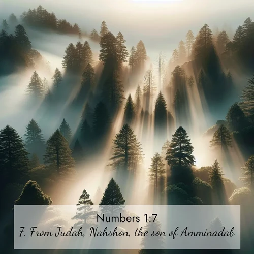 BasicEnglish Numbers  ; image nature: image with the bible verse :From Judah, Nahshon, the son of Amminadab; ; Browse a vast collection of Bible verse images featuring awe-inspiring landscapes such as calm lakes, vibrant sunsets, and peaceful fields. Download them for free and enjoy verses like KJV Numbers 1:7. Current verse is overlayed with the thematic nature scene : Coastal redwoods disappear into fog. Filtered sunlight creates divine rays. ; 1:7