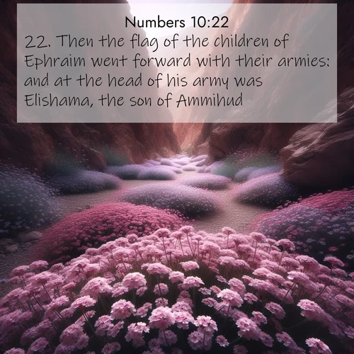 BasicEnglish Numbers  ; image nature: image with the bible verse :Then the flag of the children of Ephraim went forward with their armies: and at the head of his army was Elishama, the son of Ammihud. ; Dive into a gallery of Bible verses illustrated by tropical beach scenes, featuring sparkling waves, seashells, and radiant sunrises. These images evoke divine peace and joy. Download and share inspiring verses like KJV Numbers 10:22. Current verse is overlayed with the thematic nature scene : Desert verbena carpets hidden canyons. Flash flood waters carved these gardens. ; 10:22