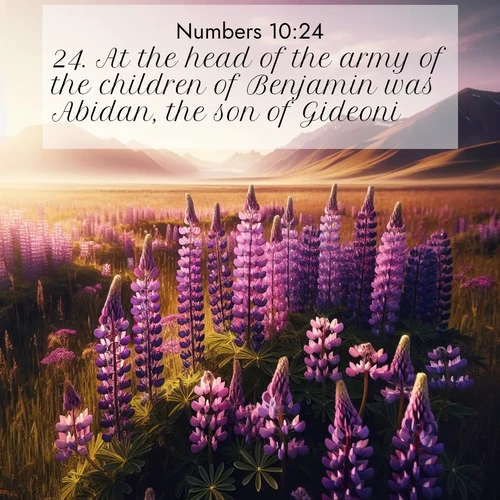 BasicEnglish Numbers  ; image nature: image with the bible verse :At the head of the army of the children of Benjamin was Abidan, the son of Gideoni. ; Download Bible verse images featuring vibrant photos of nature, from snowy landscapes to golden deserts. These free images are perfect for phone wallpapers, desktop backgrounds, or sharing. Verses include KJV Numbers 10:24. Current verse is overlayed with the thematic nature scene : Wild lupines paint purple meadows. Snow lingers on distant peaks. ; 10:24