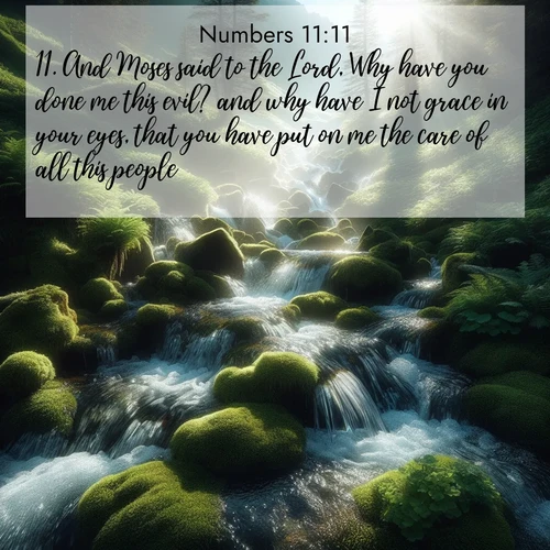 BBE Numbers 11:11 overlaying nature image scene: Mountain streams tumble through moss. Sunlight creates crystal prisms.;11. And Moses said to the Lord, Why have you done me this evil? and why have I not grace in your eyes, that you have put on me the care of all this people?