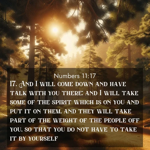 BBE Numbers 11:17 overlaying nature image scene: Summer heat brings out the scent of pine needles.;17. And I will come down and have talk with you there: and I will take some of the spirit which is on you and put it on them, and they will take part of the weight of the people off you, so that you do not have to take it by yourself.
