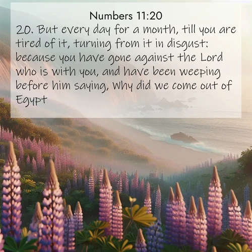 BBE Numbers 11:20 overlaying nature image scene: Wild lupines carpet coastal bluffs. Pacific fog rolls in like smoke.;20. But every day for a month, till you are tired of it, turning from it in disgust: because you have gone against the Lord who is with you, and have been weeping before him saying, Why did we come out of Egypt?
