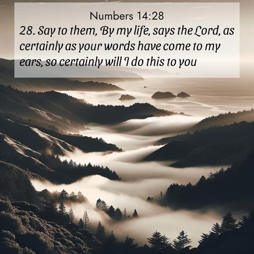 BasicEnglish Numbers  ; image nature: image with the bible verse :Say to them, By my life, says the Lord, as certainly as your words have come to my ears, so certainly will I do this to you: ; Browse our library of beautiful Bible verse images, perfect for wallpapers or sharing. Each verse is paired with serene natural landscapes like misty mountains, calming beaches, and colorful sunsets. Download and enjoy verses such as KJV Numbers 14:28. Current verse is overlayed with the thematic nature scene : Coastal fog rolls inland through gaps in seaside hills. ; 14:28