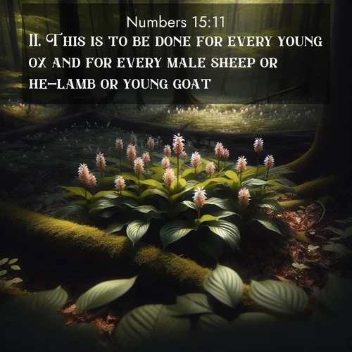 BBE Numbers 15:11 overlaying nature image scene: Wild ginger blooms hidden in forest shadows. Filtered sunlight reveals their secret beauty.;11. This is to be done for every young ox and for every male sheep or he-lamb or young goat.
