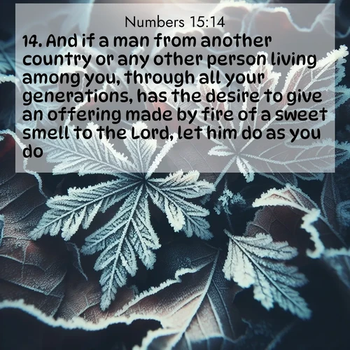 BBE Numbers 15:14 overlaying nature image scene: Winter frost creates delicate patterns on fallen leaves.;14. And if a man from another country or any other person living among you, through all your generations, has the desire to give an offering made by fire of a sweet smell to the Lord, let him do as you do.