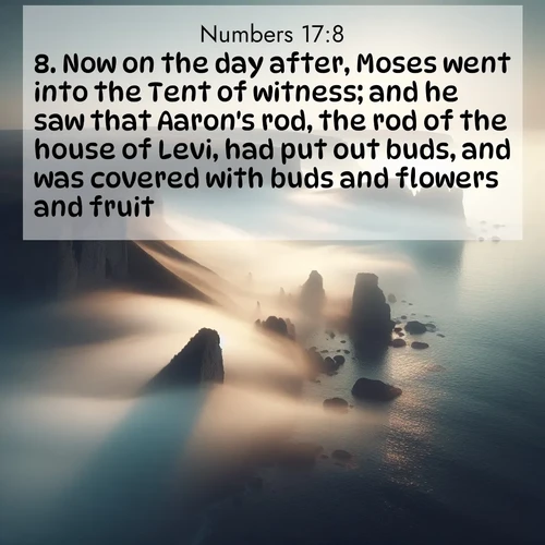 BasicEnglish Numbers  ; image nature: image with the bible verse :Now on the day after, Moses went into the Tent of witness; and he saw that Aaron&#039;s rod, the rod of the house of Levi, had put out buds, and was covered with buds and flowers and fruit. ; Discover our curated gallery of Bible verse images with breathtaking scenery, from tranquil deserts to lush green pastures. Perfect for phone wallpapers or sharing online. Download verses like KJV Numbers 17:8. Current verse is overlayed with the thematic nature scene : Coastal fog reveals and conceals seaside cliffs. ; 17:8