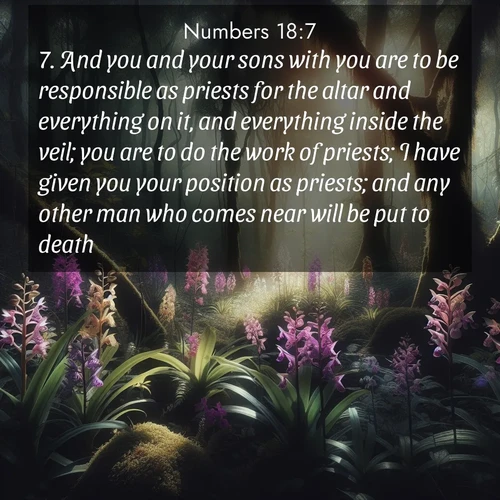 BasicEnglish Numbers  ; image nature: image with the bible verse :And you and your sons with you are to be responsible as priests for the altar and everything on it, and everything inside the veil; you are to do the work of priests; I have given you your position as priests; and any other man who comes near will be put to death. ; Browse beautiful Bible verse images accompanied by peaceful scenes like calm seas, ancient forests, and radiant horizons. Download high-quality, free images featuring verses such as KJV Numbers 18:7. Current verse is overlayed with the thematic nature scene : Wild orchids bloom in forest shade. Filtered light reveals their grace. ; 18:7