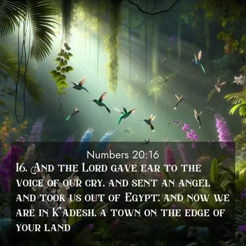 BasicEnglish Numbers  ; image nature: image with the bible verse :And the Lord gave ear to the voice of our cry, and sent an angel and took us out of Egypt: and now we are in Kadesh, a town on the edge of your land; ; Explore a collection of inspiring Bible verse images accompanied by winter photos, such as snowy landscapes, frosted trees, and frozen lakes. These images reflect the peace and purity of God&#039;s creation, with elegant fonts and luminous colors. Download and share verses like KJV Numbers 20:16. Current verse is overlayed with the thematic nature scene : Wild orchids bloom in a rainforest canopy. Hummingbirds dart between the delicate flowers. ; 20:16