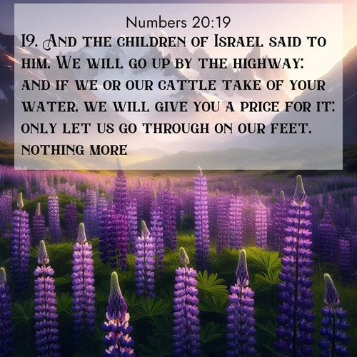 BasicEnglish Numbers  ; image nature: image with the bible verse :And the children of Israel said to him, We will go up by the highway: and if we or our cattle take of your water, we will give you a price for it: only let us go through on our feet, nothing more. ; Admire Bible images evoking autumn, with warm colors of fallen leaves, harvested fields, and tranquil woods. These inspiring landscapes reflect the transition and beauty of God&#039;s creation. Download verses like KJV Numbers 20:19. Current verse is overlayed with the thematic nature scene : Wild lupines paint mountain meadows purple. Snow lingers on distant peaks. ; 20:19
